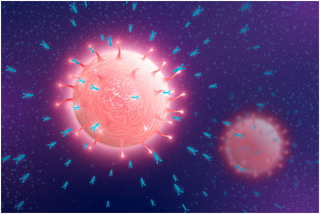 Antibody Phage Display: Technique and Applications